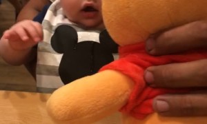 Baby Comes Face to Face with Winnie the Pooh Plushie