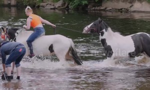 Highlights from the first day of the Appleby Horse Fair 2019