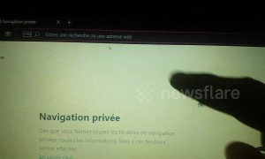 Miscre-ant! Man finds insect walking around INSIDE his laptop