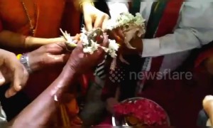 Frogs get married to appease rain god in southern India