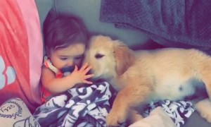 Best Buddies Cuddle on the Couch