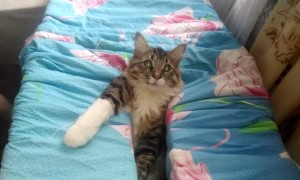 Lounging in the Laundry