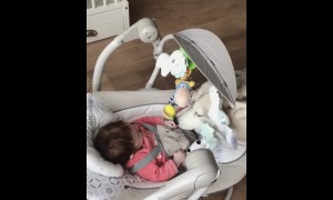 Husky sweetly plays with happy baby