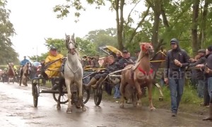 Poor weather causes horse-drawn carts to crash at Appleby Horse Fair