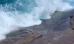 Tourist Taken Out to Sea