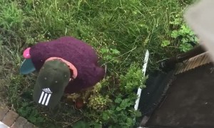 Irate Woman Shatters Window