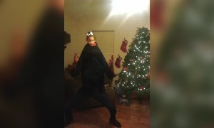 The Incredible Dancing Baby