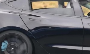 Sleeping Autopilot Prank