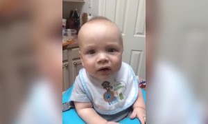 Baby Tries Bananas for the First Time