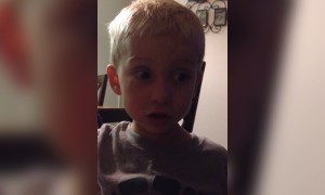 Cheated out of a Cheeseburger