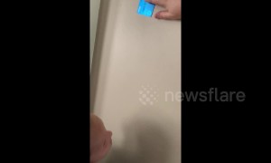 US mother instantly regrets doing the 'get that money challenge' with her son