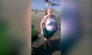 Swarm of Seagulls get to Snack