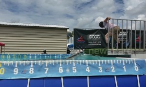 Dog makes tiny splash during Florida dock diving competition