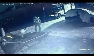 Fearless villager saves calf by attacking lion with a stick in northern India