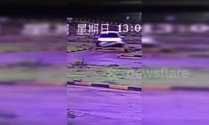 Learner driver does doughnuts for 2 minutes after accidentally holding down the accelerator