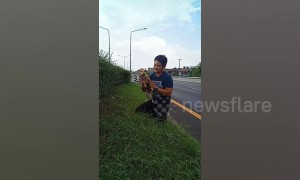 Driver rescues puppy from central reservation of a motorway in Thailand