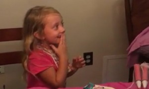 7-year-old gets surprised with two kittens for her birthday