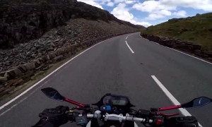 Sheep Leaps and Startles Rider