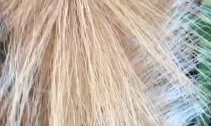 "It's Not Going to Bite Me"