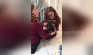 UK sisters burst into tears of joy when meeting new puppy for the first time
