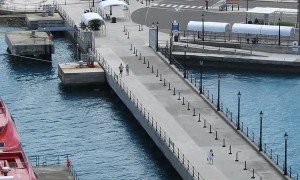 Cruise Ship Passengers Cheer for Late Couple