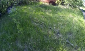 Parkour Practitioner Plummets