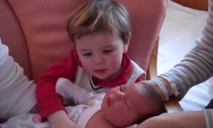Toddler has Cutest Reaction when he Meets his New Baby Sister