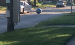 Cabbie Kick Kids Ball From Car