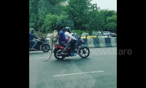 Tail that bike! Monkey spotted enjoying motorcycle ride in India