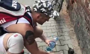 Thirsty crow is given water by hero during Polish heatwave