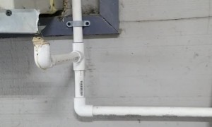 Frog Finds the Ultimate Summer Lounge Spot