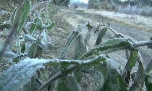 Frost covers Indonesia’s Mount Bromo as temperatures drop