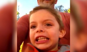 Summertime Carnivals