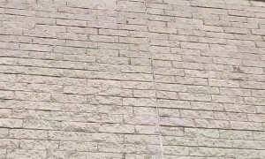 Anti-Nesting Spikes, Not Working