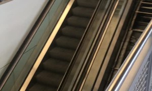 Should Have Taken the Elevator