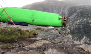 BASE Jumping in a Walrus Onesie