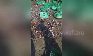 Locals scramble to collect beer bottles that fell off lorry on road in the Philippines