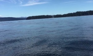 Incredible double humpback whale breach off British Columbia coast