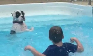 Dog hilariously mimics kids in pool and learns to splash