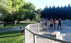 Fence Gap Face Smack