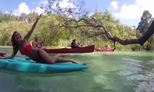 Just TRY Not to Laugh at these Funny Videos