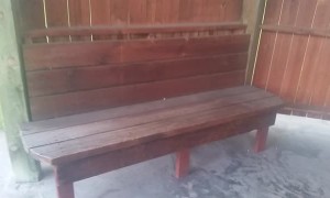 Sneaky Snake  Slithers Where You Sit