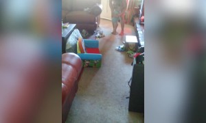 Baby has Funny Excuse for Wanting Mom's Hugs