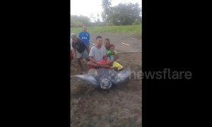 Shocking moment locals ride endangered leatherback turtle on Indonesian beach