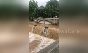 Washington D.C. area gets hit with a major flood