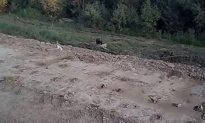 Curious Bear Launches at Car