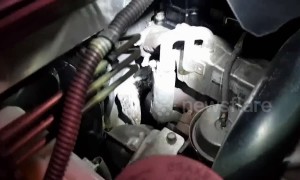 Thai driver shocked to find monitor lizard hiding inside car engine