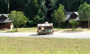 Ravenous wild elephant rolls over metal cage with bins inside in search for food
