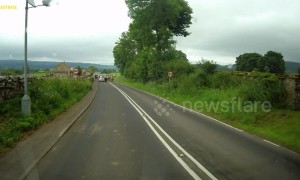 Please 'moo-ve' on cow appreciation day