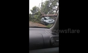 Severe hailstorms batter streets in northern Greece seeing trees topple onto cars